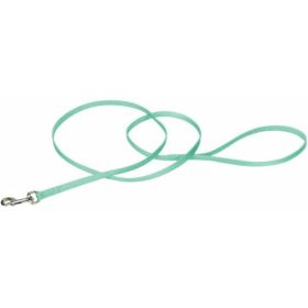 Coastal Pet Single-ply Nylon Dog Leash Teal - 4'L x 3/8"W